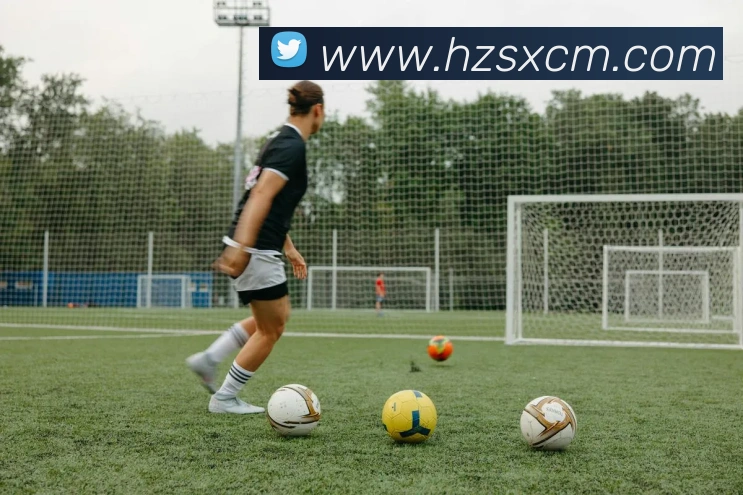 世界杯购买网站平台生态图